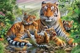Tranh gia đình hổ