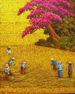 Tranh Vẽ Bác Nông Dân Gặt Lúa
