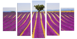 Tranh in cánh đồng hoa màu tím và cây cổ thụ 4-7027