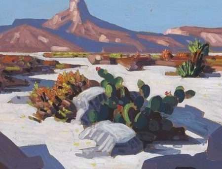 Tranh in canvas sa mạc và xương rồng 4-8031